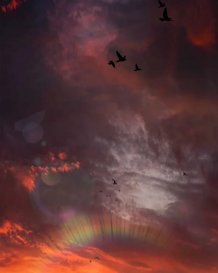 Thánh Giả Thăng Cấp Nhờ Chiêu Hồn Sư Chapter 8 - 79