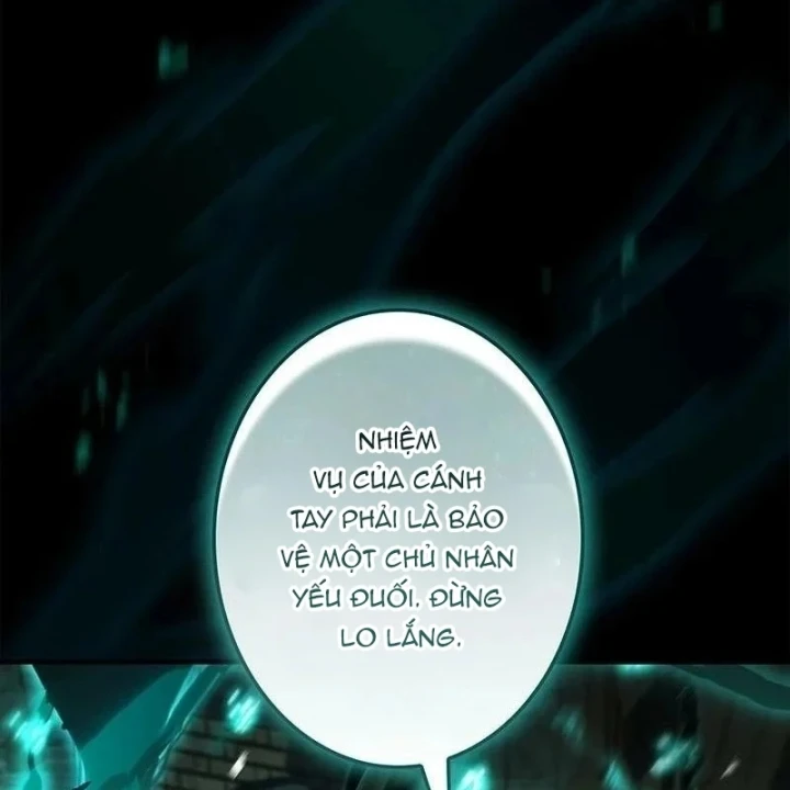 Thánh Giả Thăng Cấp Nhờ Chiêu Hồn Sư Chapter 15 - 36