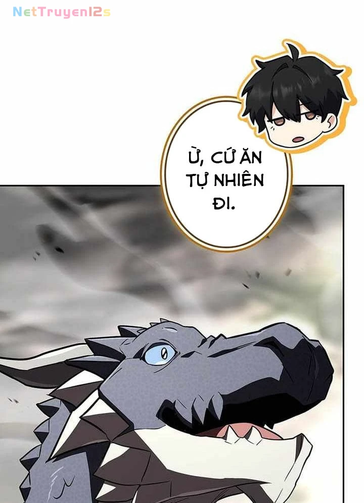 Thánh Giả Thăng Cấp Nhờ Chiêu Hồn Sư Chapter 28 - 177