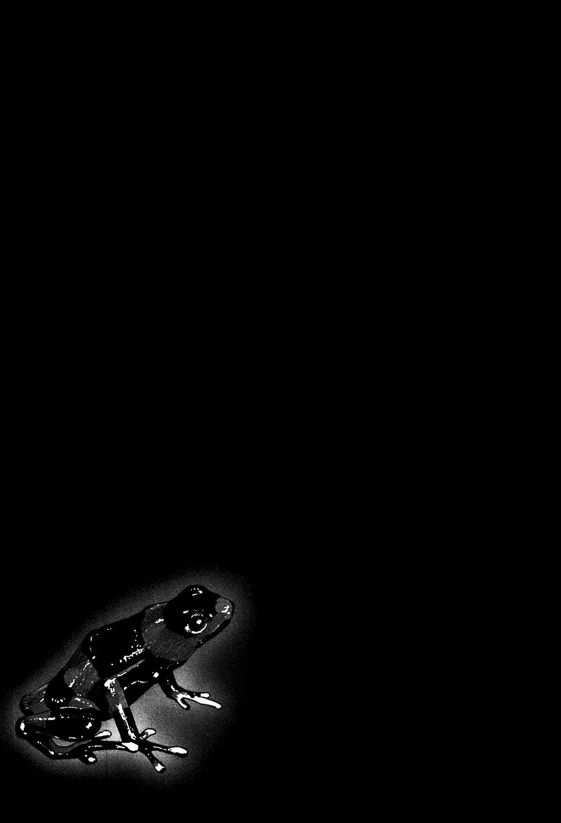 Dendrobates Chapter 24 - 2