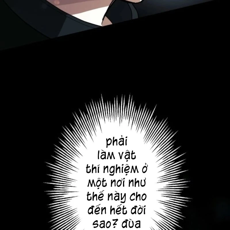 Thần Nhãn Ma Pháp Sư Chapter  3 - 169