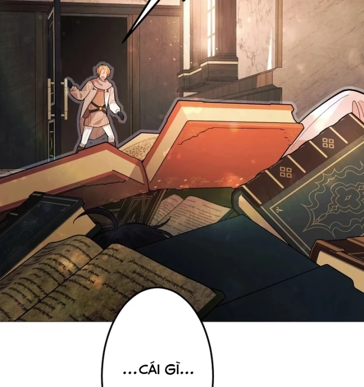 Thần Nhãn Ma Pháp Sư Chapter 17 - 108