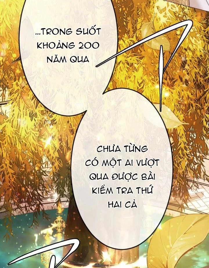 Thần Nhãn Ma Pháp Sư Chapter 20 - 62