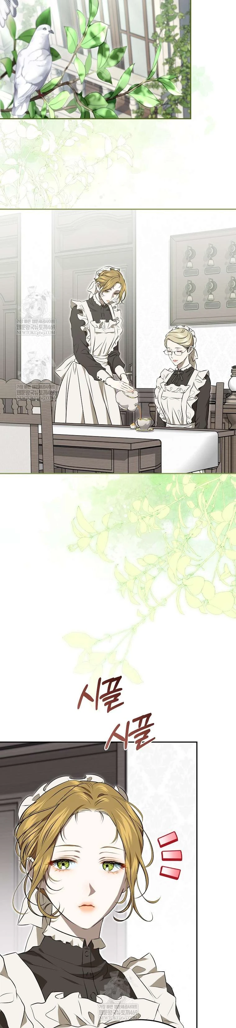 Cuộc Sống Yên Bình Của Cô Hầu Gái Che Giấu Sức Mạnh Chapter 3 - 19