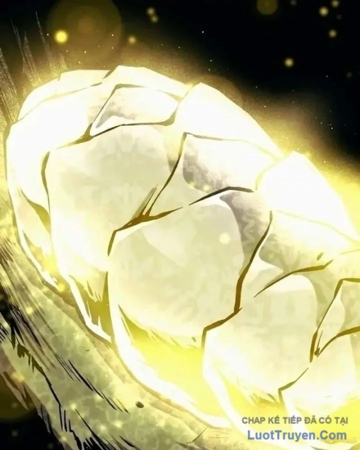 Kiến Trúc Sư Hầm Ngục Cấp Quốc Gia Chapter 13 - 163