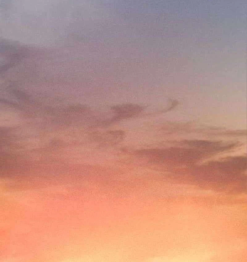 Đại Boss Ẩn Mình Chapter  4 - 171