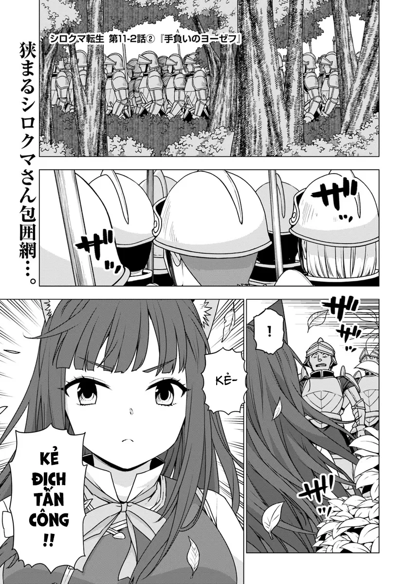 Shirokuma Tensei Chapter 11 - 13