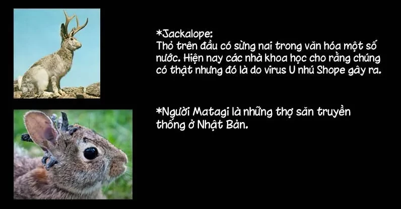 Shirokuma Tensei Chapter 15 - 39