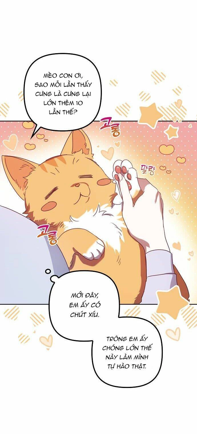 Cuộc Sống Giản Dị Của Người Độc Thân Bị Bỏ Rơi Chapter 8 - 21