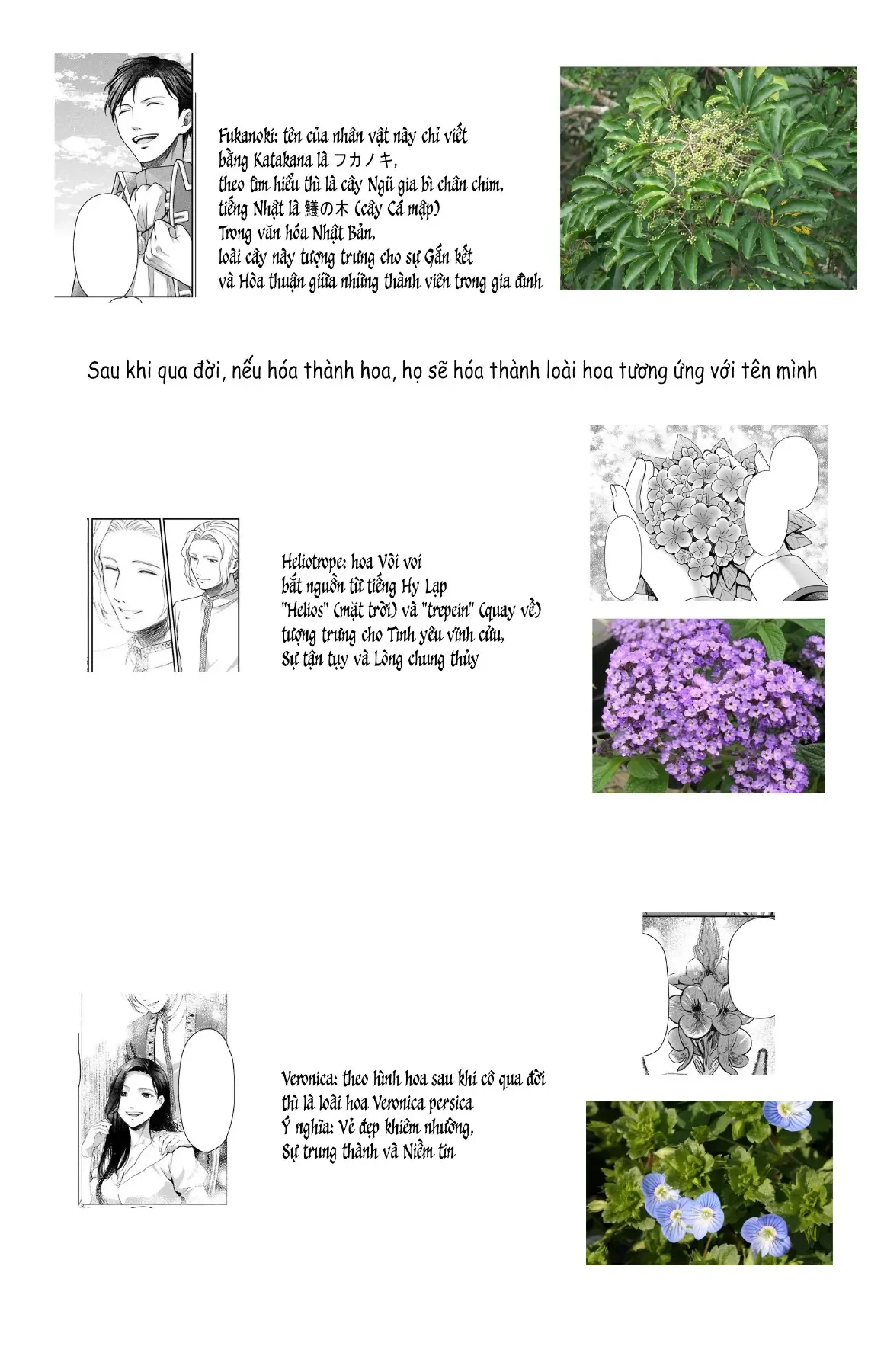 Tử Thần Thánh Nữ Chapter 1 - 66