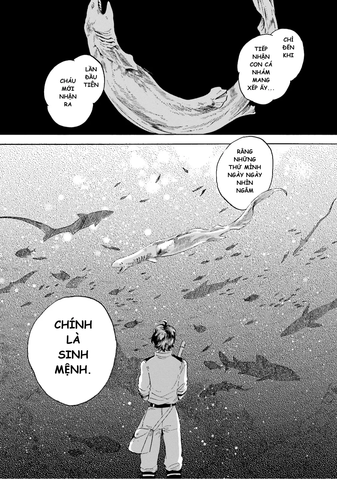 Thủy Cung Đáy Biển Magmell Chapter 2 - 45