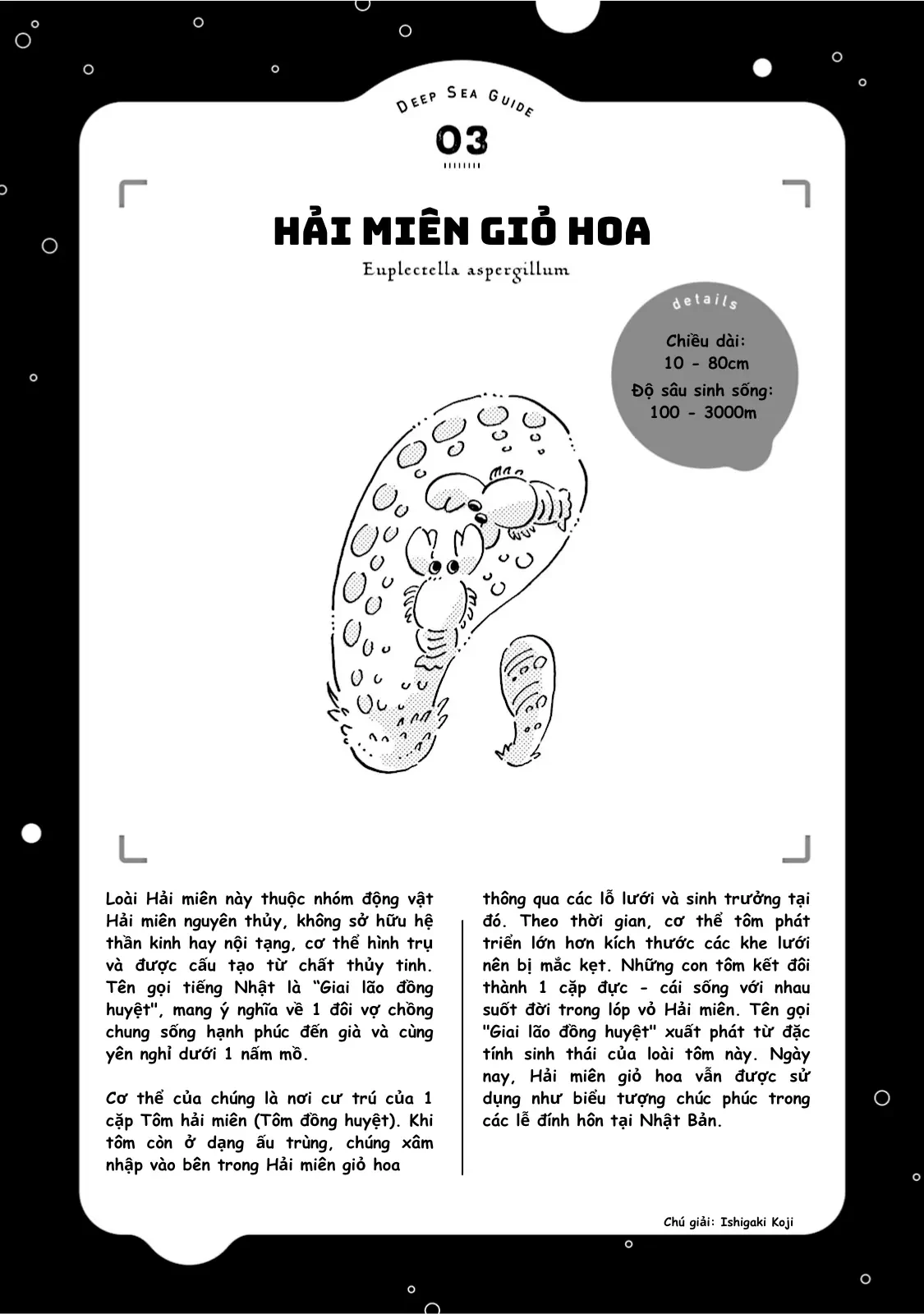 Thủy Cung Đáy Biển Magmell Chapter 3 - 22