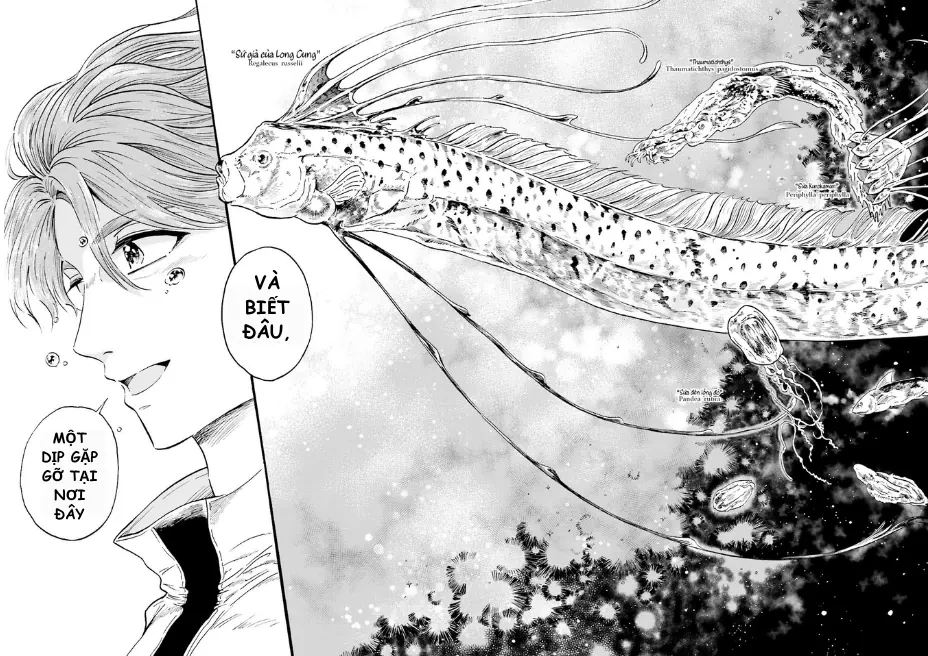 Thủy Cung Đáy Biển Magmell Chapter 0 - 14