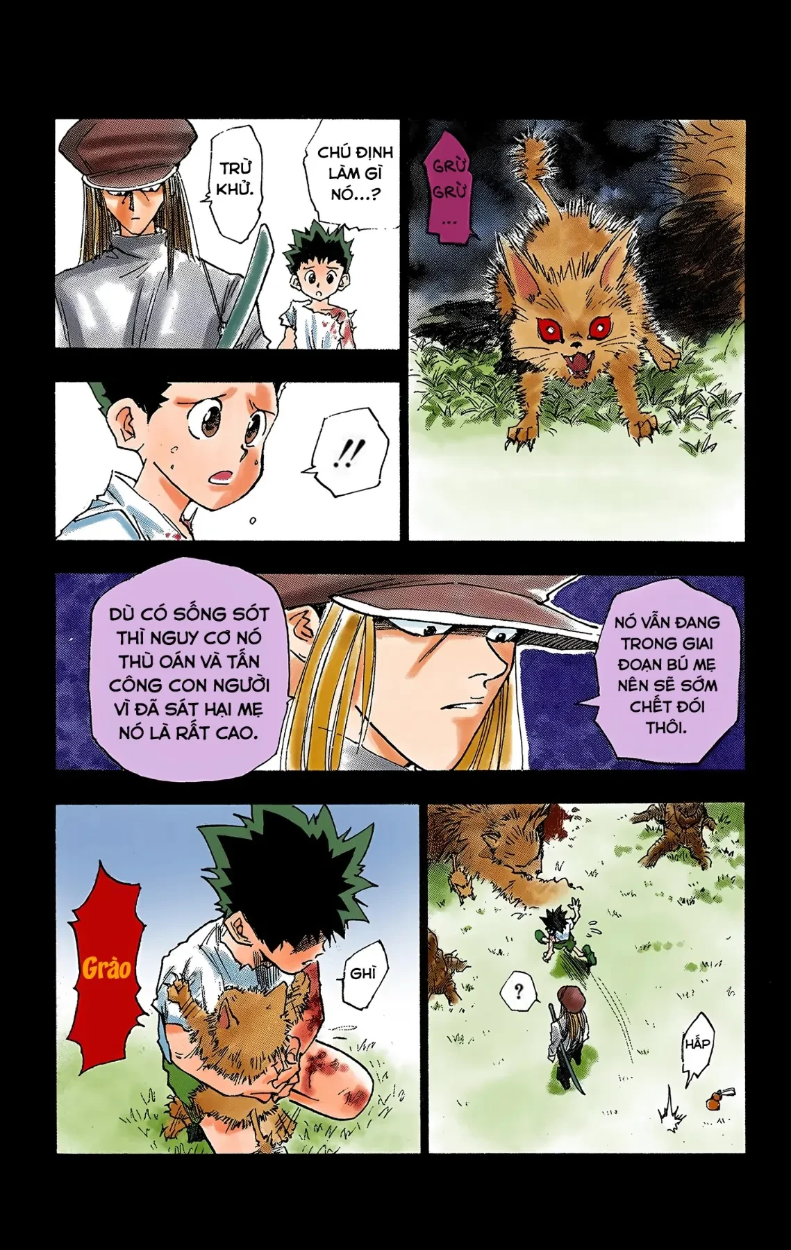 Hunter x Hunter (Bản Màu) Chapter 1 - 24