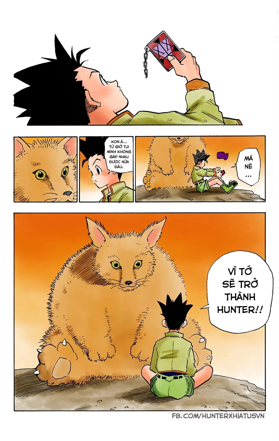 Hunter x Hunter (Bản Màu) Chapter 1 - 28
