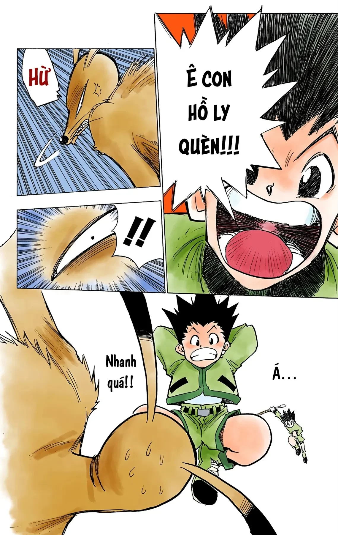 Hunter x Hunter (Bản Màu) Chapter 4 - 10