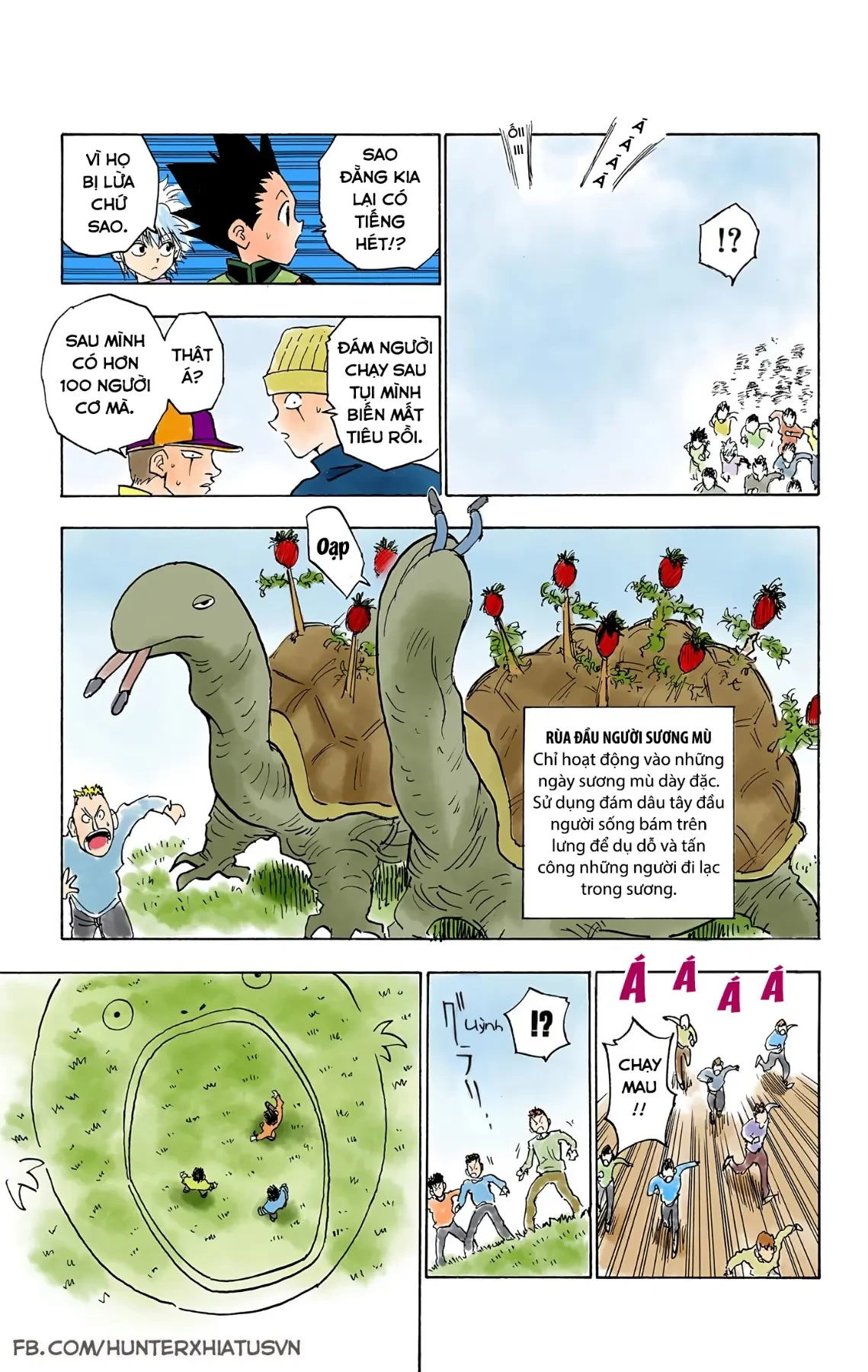 Hunter x Hunter (Bản Màu) Chapter 8 - 15