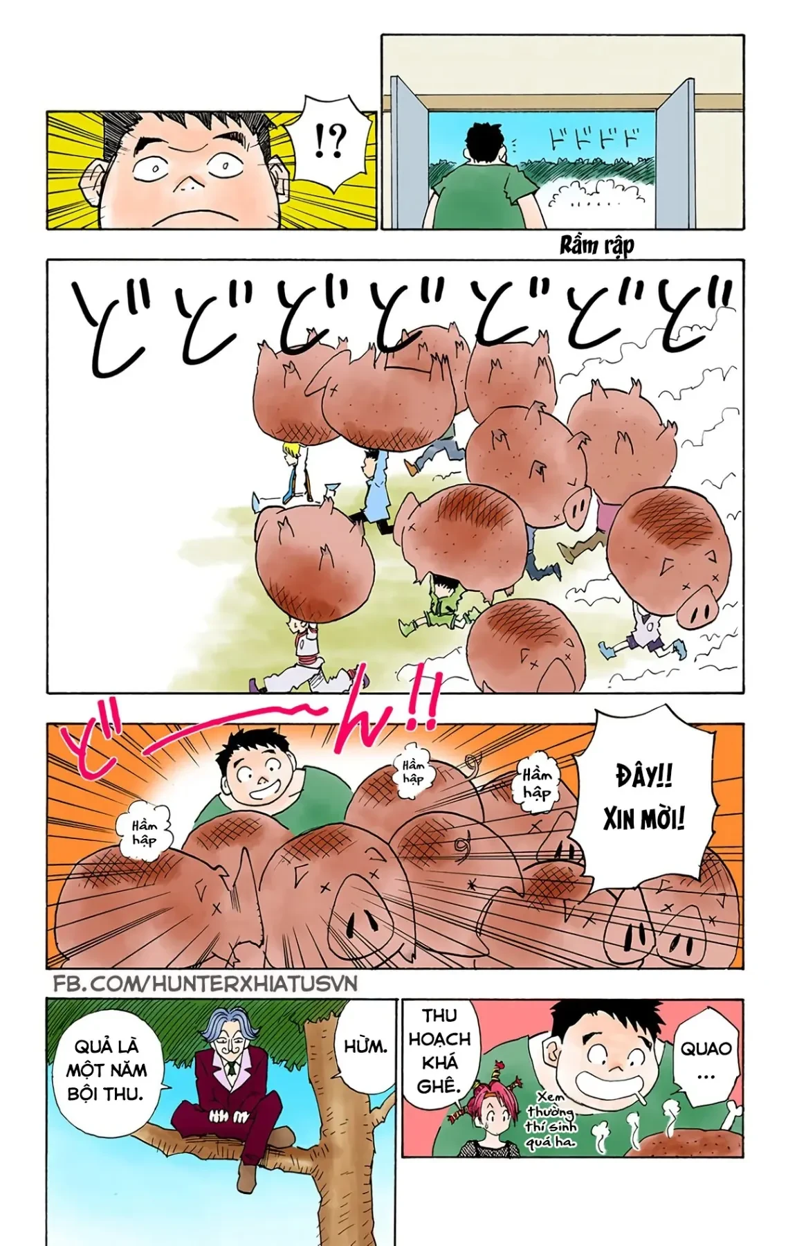 Hunter x Hunter (Bản Màu) Chapter 10 - 19