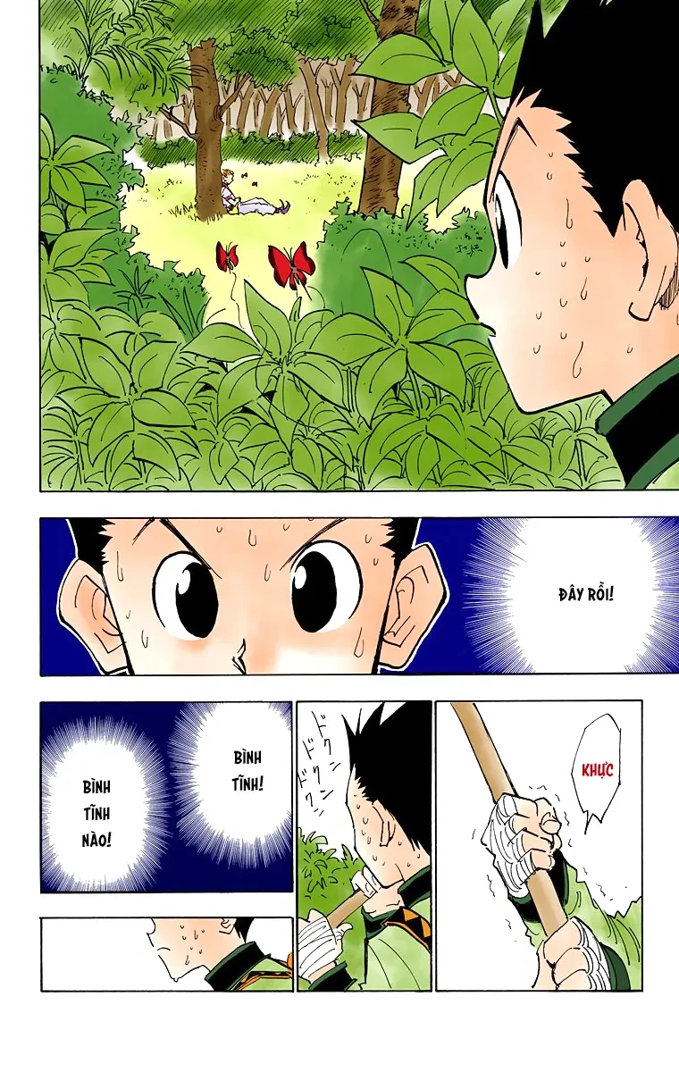 Hunter x Hunter (Bản Màu) Chapter 25 - 8