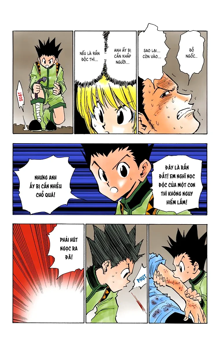 Hunter x Hunter (Bản Màu) Chapter 30 - 17
