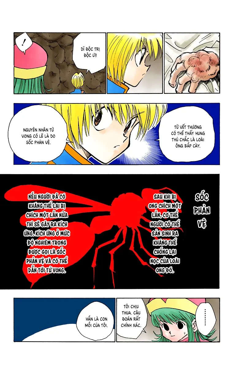 Hunter x Hunter (Bản Màu) Chapter 31 - 5