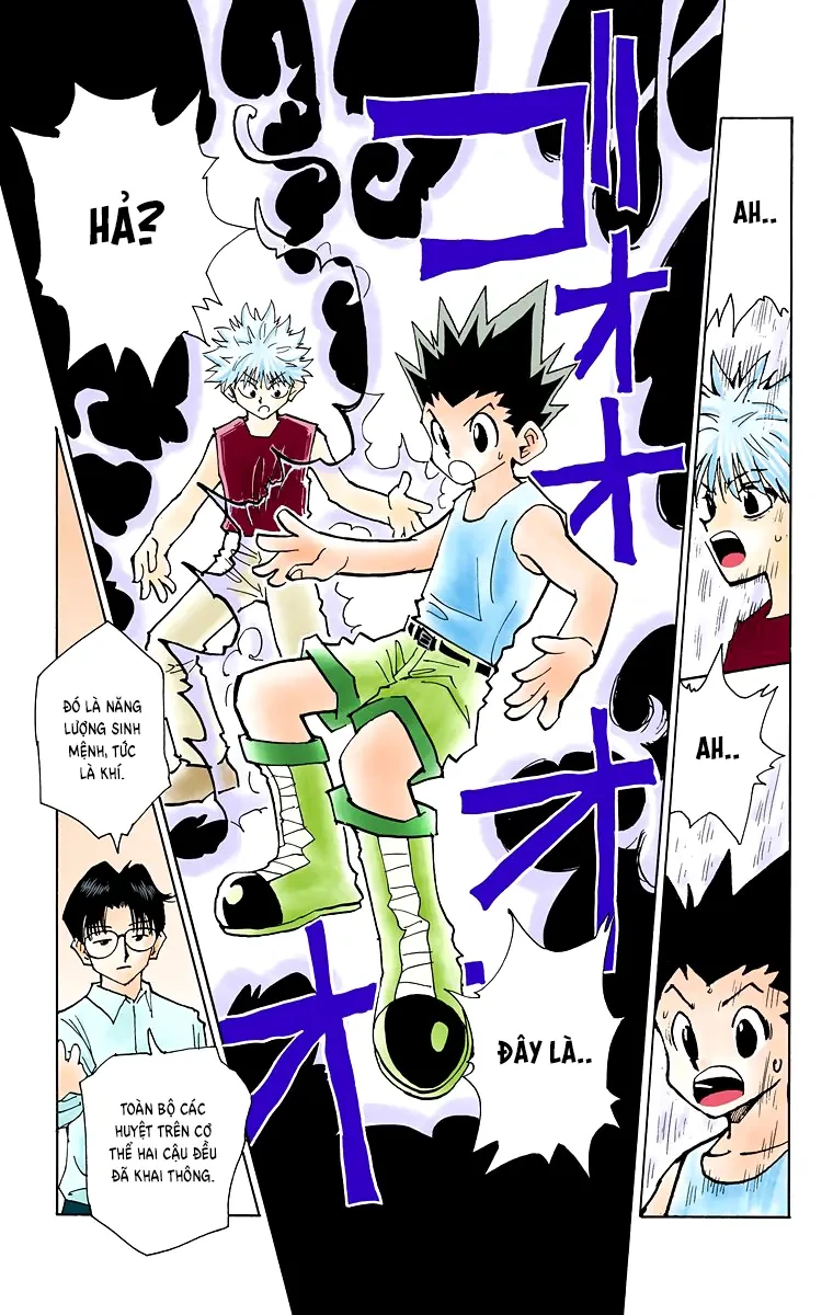 Hunter x Hunter (Bản Màu) Chapter 48 - 10