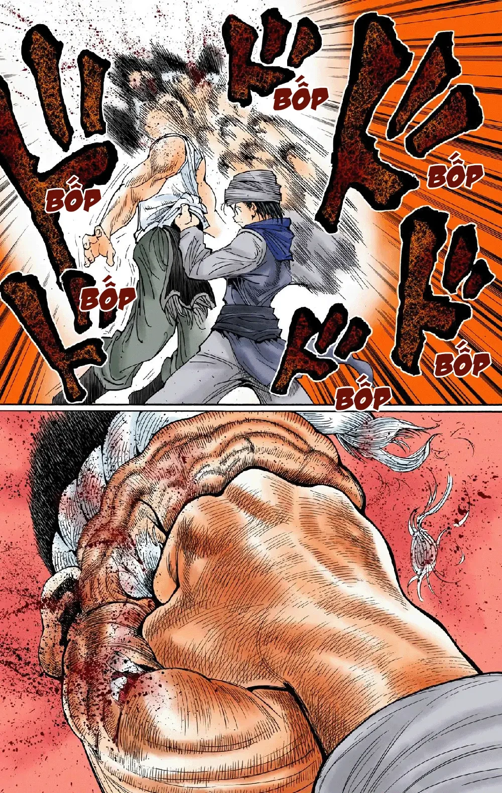 Hunter x Hunter (Bản Màu) Chapter 343 - 9