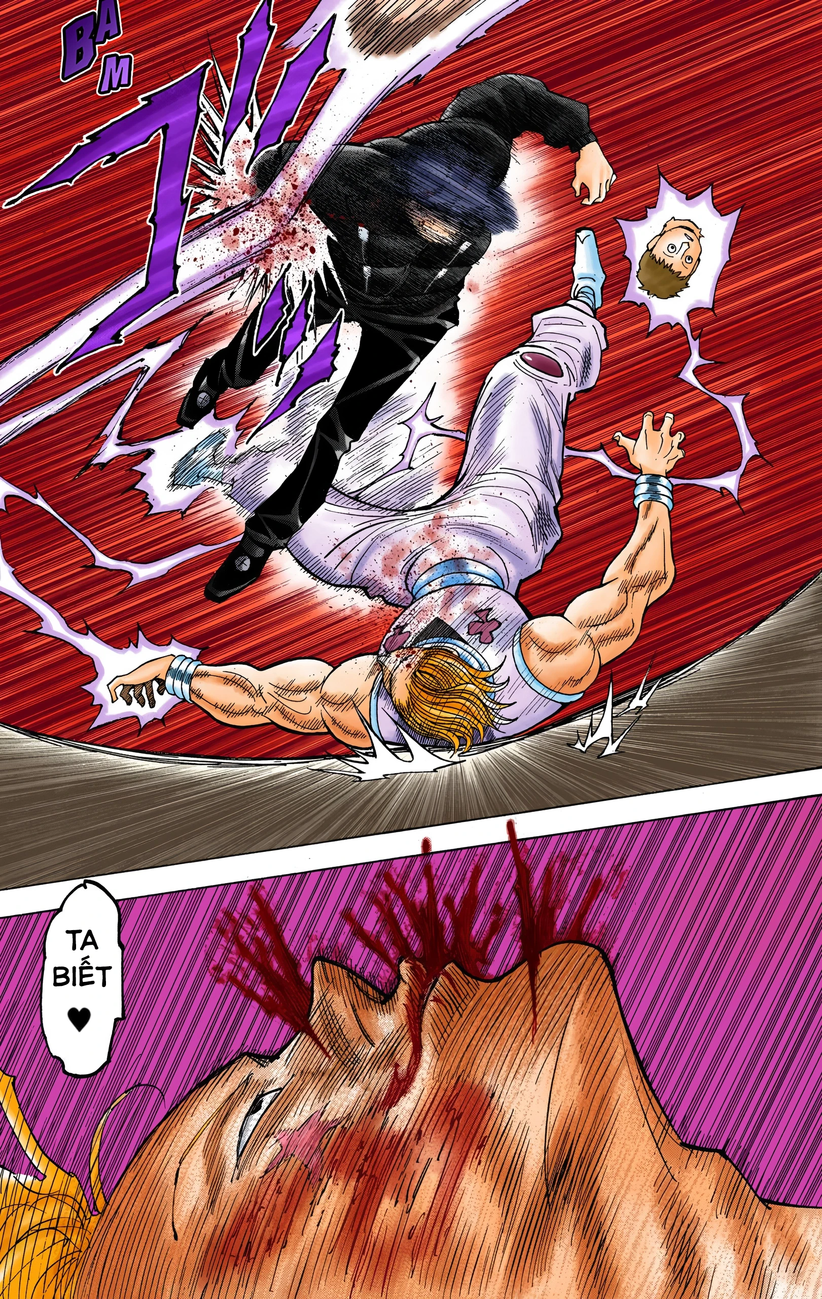 Hunter x Hunter (Bản Màu) Chapter 353 - 19