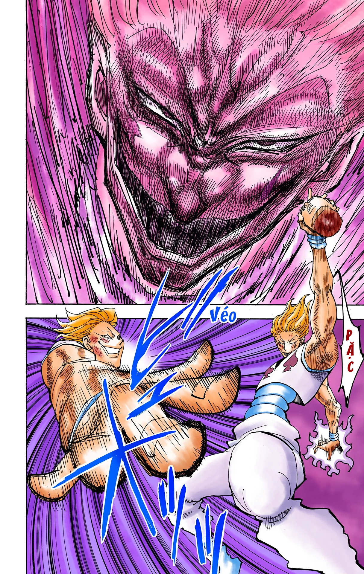Hunter x Hunter (Bản Màu) Chapter 355 - 9