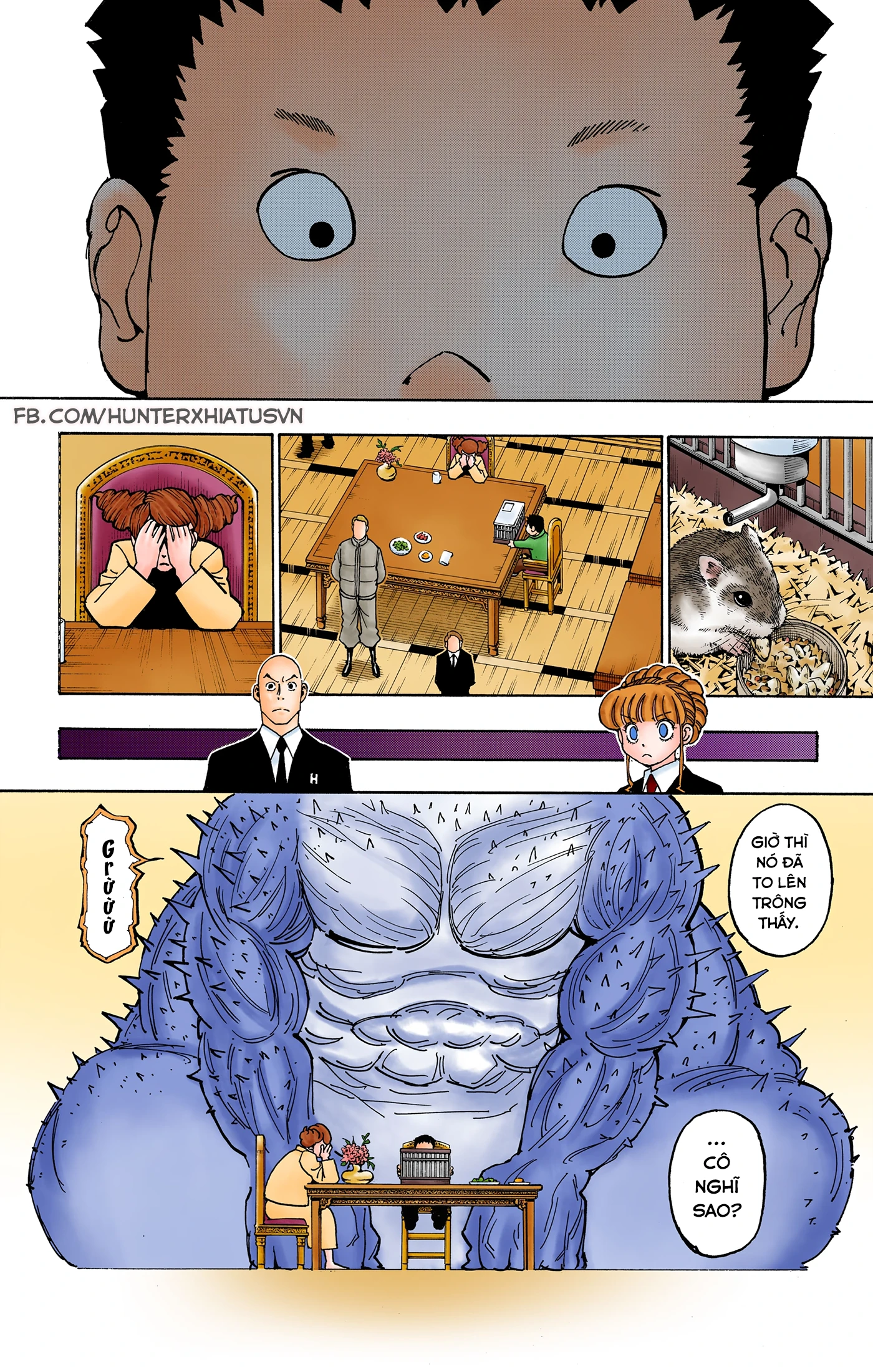 Hunter x Hunter (Bản Màu) Chapter 372 - 4