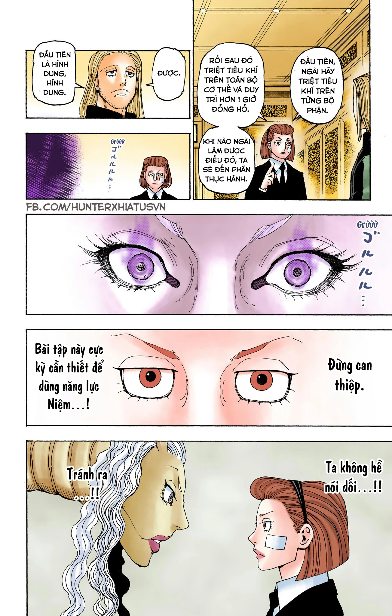 Hunter x Hunter (Bản Màu) Chapter 384 - 15