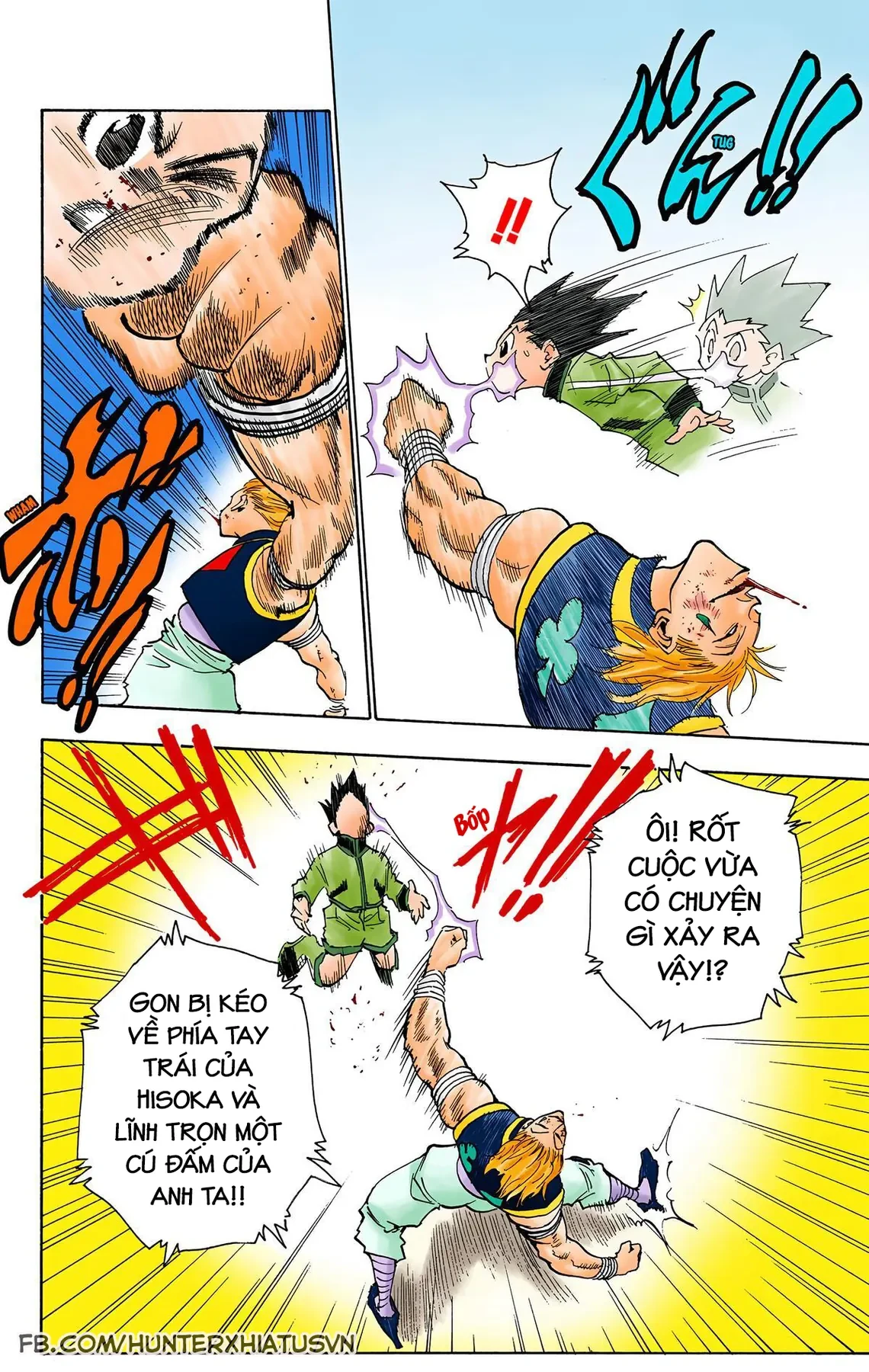 Hunter x Hunter (Bản Màu) Chapter  63 - 10