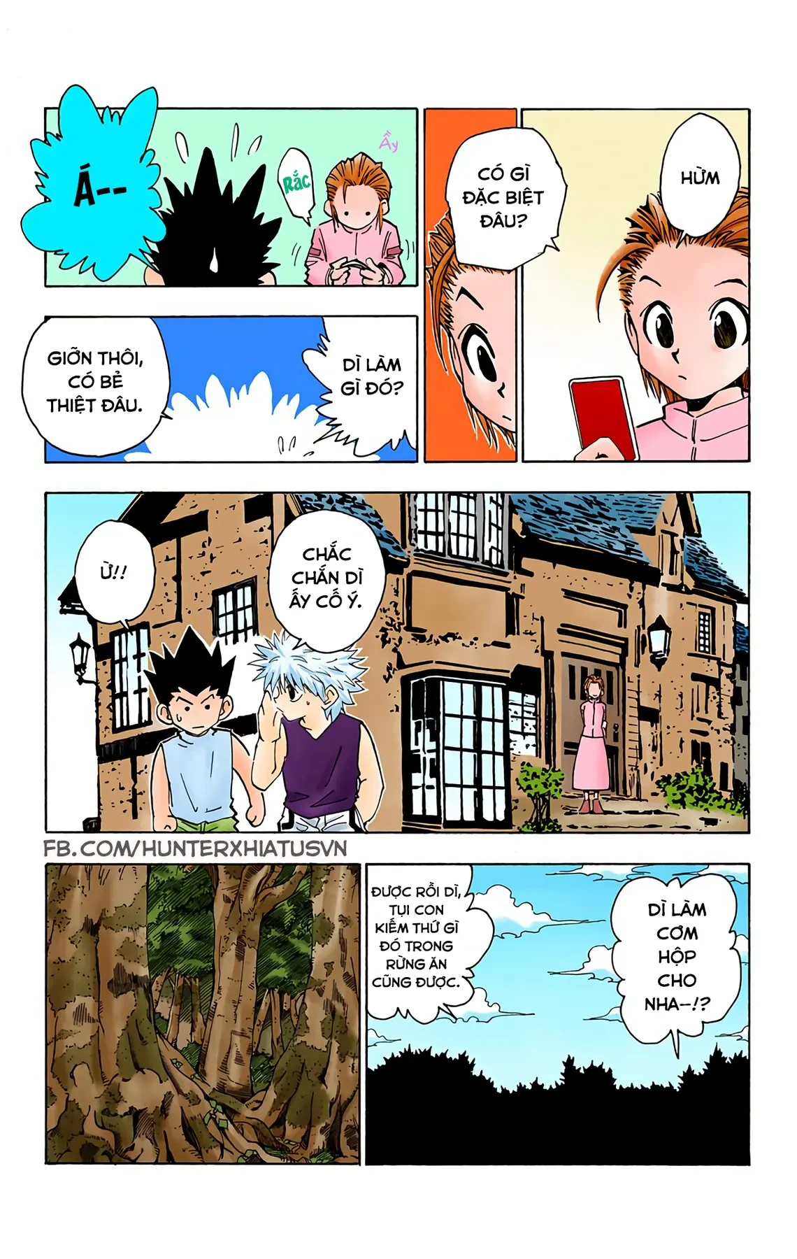 Hunter x Hunter (Bản Màu) Chapter  64 - 10