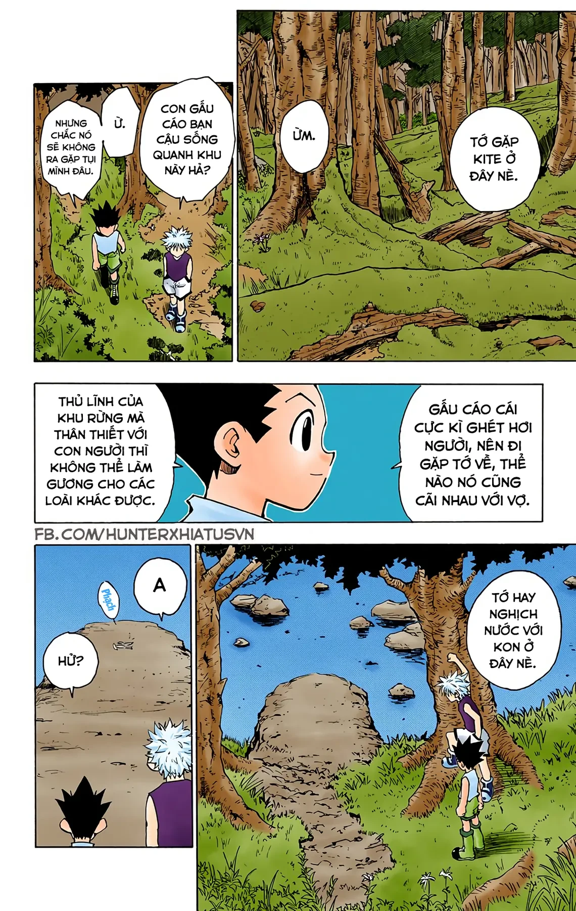 Hunter x Hunter (Bản Màu) Chapter  64 - 11