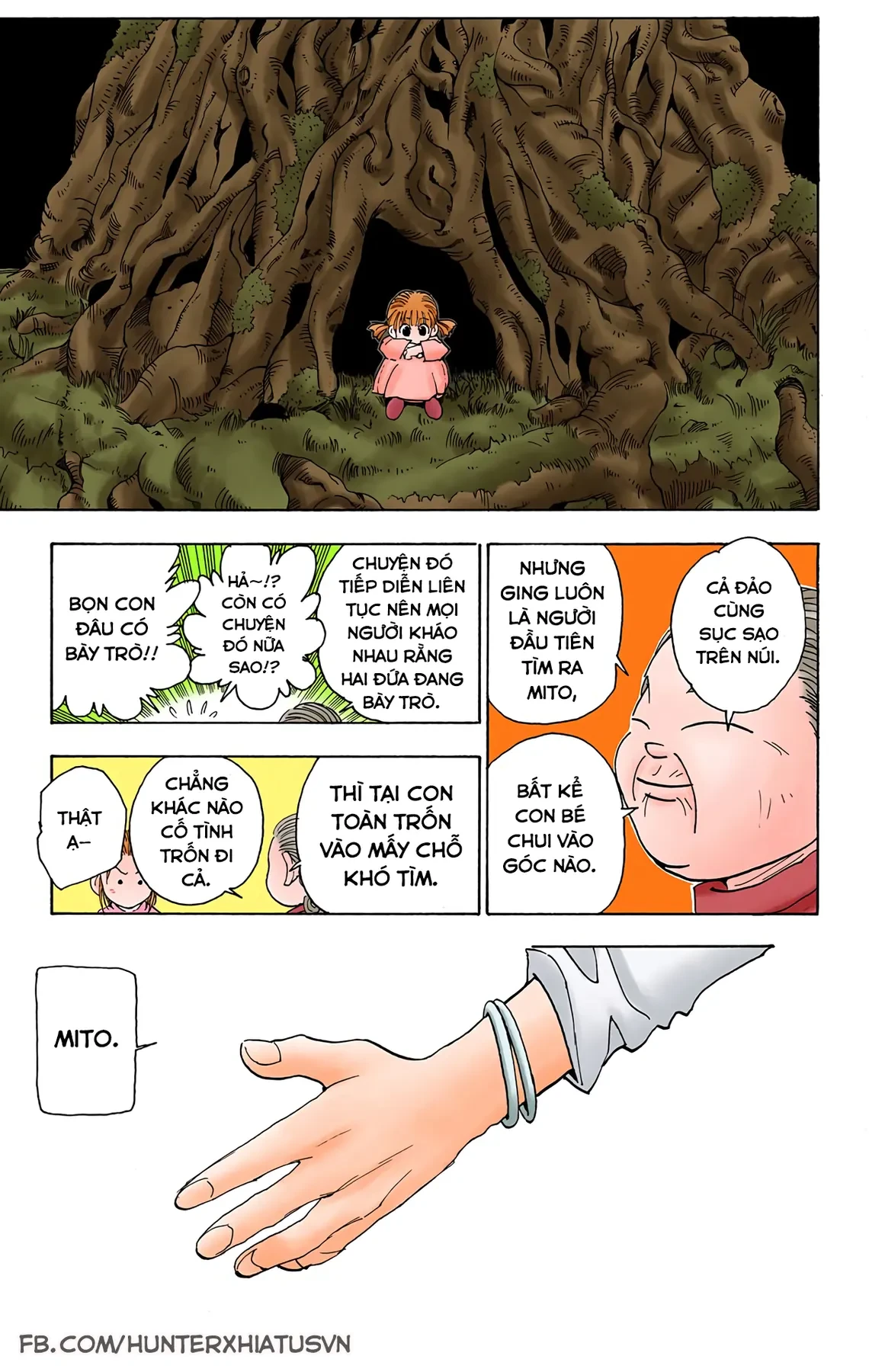 Hunter x Hunter (Bản Màu) Chapter  65 - 9