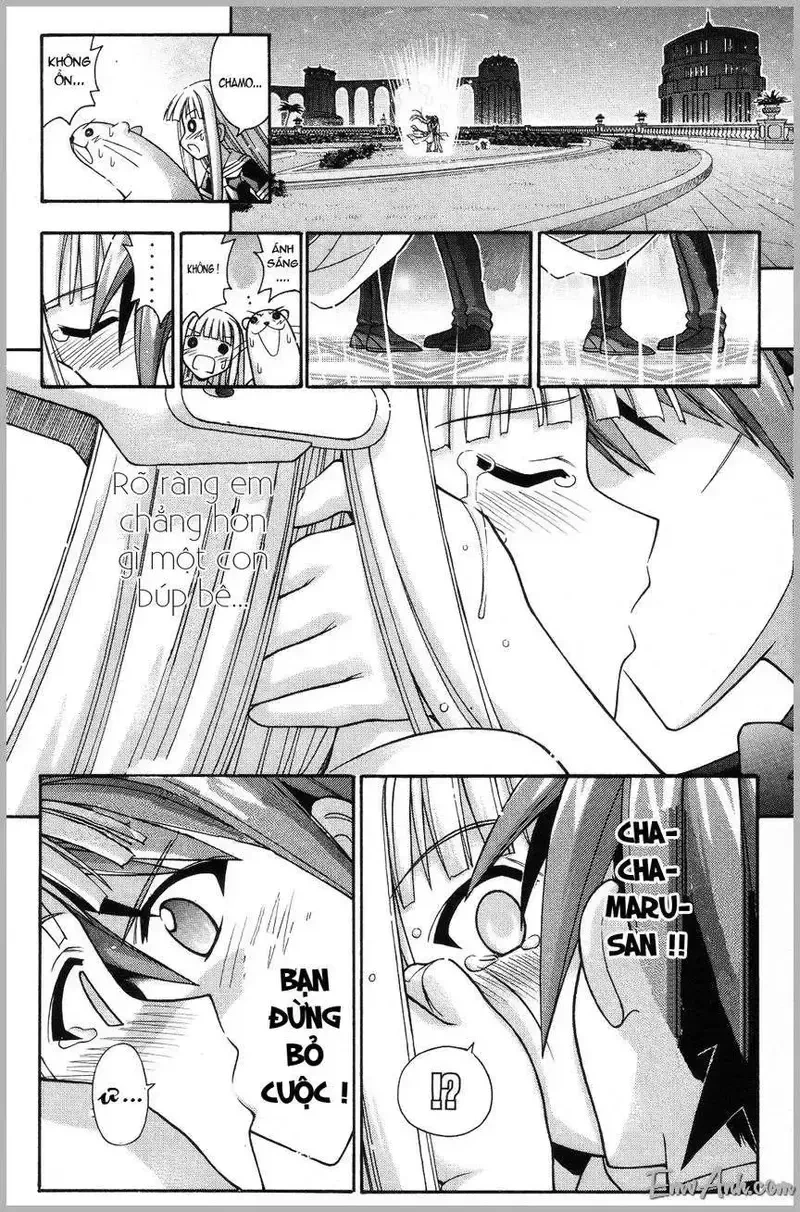 Mahou Sensei Negima! Chapter 263 - 16