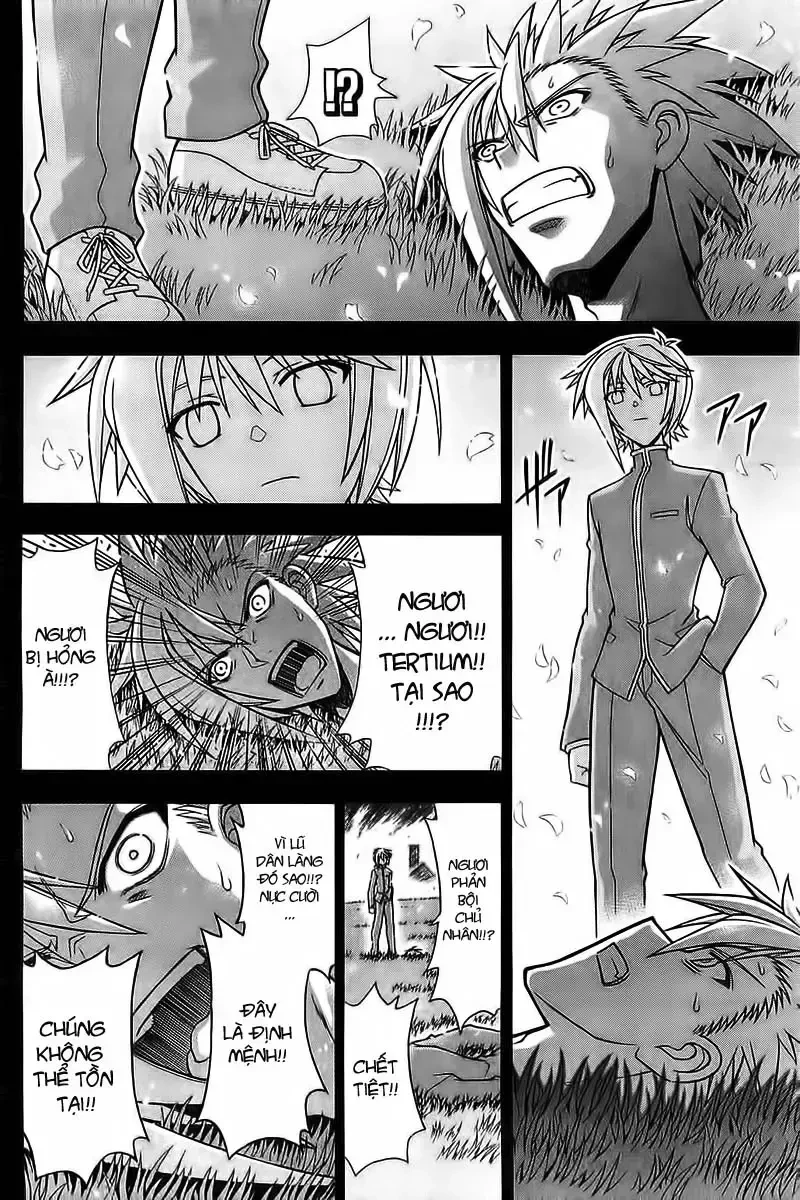 Mahou Sensei Negima! Chapter 327 - 15