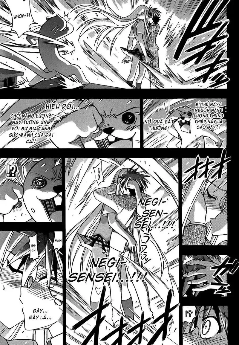 Mahou Sensei Negima! Chapter 340 - 14