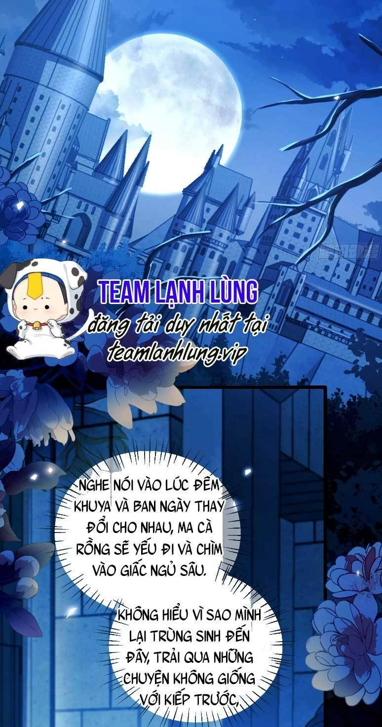 Ta Trở Thành Đồ Chơi Nguy Hiểm Của Vương Gia Chapter 5 - 17