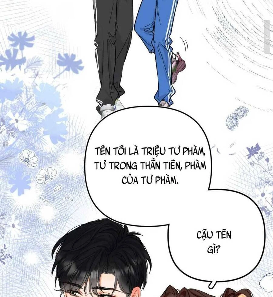 Thỉnh Đa Loan Chiếu Chapter 1 - 31