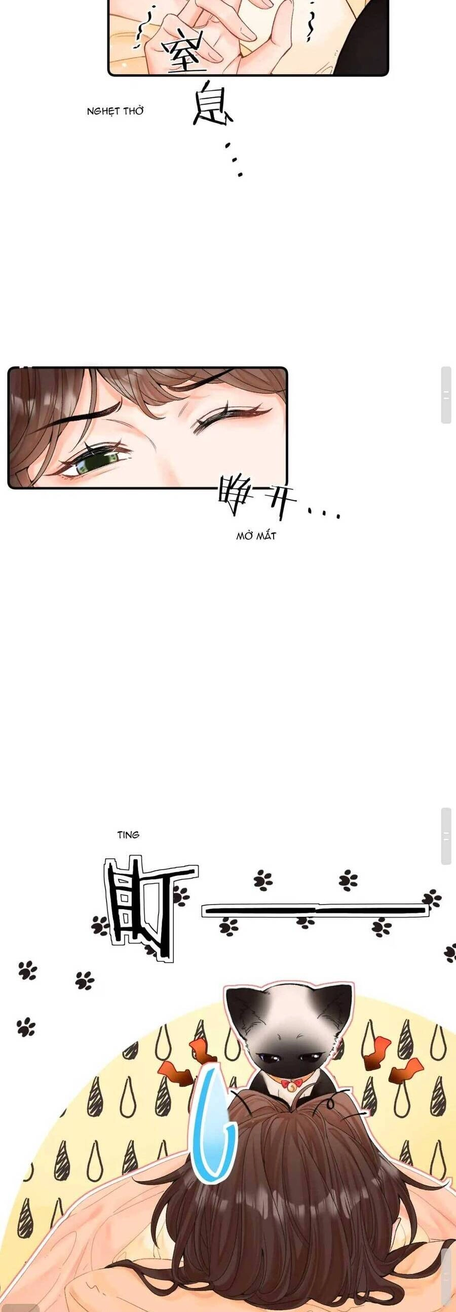 Thỉnh Đa Loan Chiếu Chapter 8 - 21