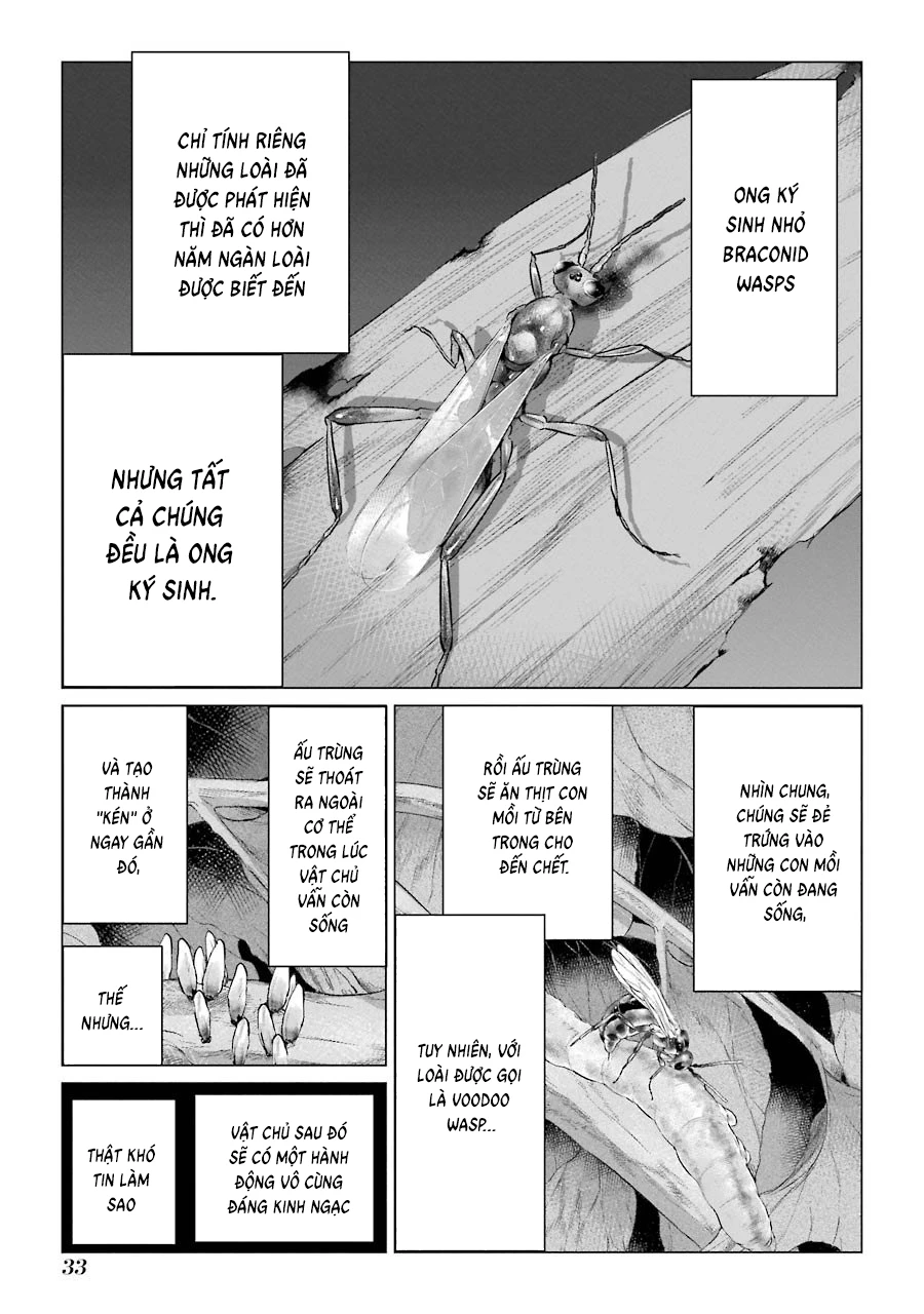 Châu Bùi no Shinobi Chapter 1 - 34