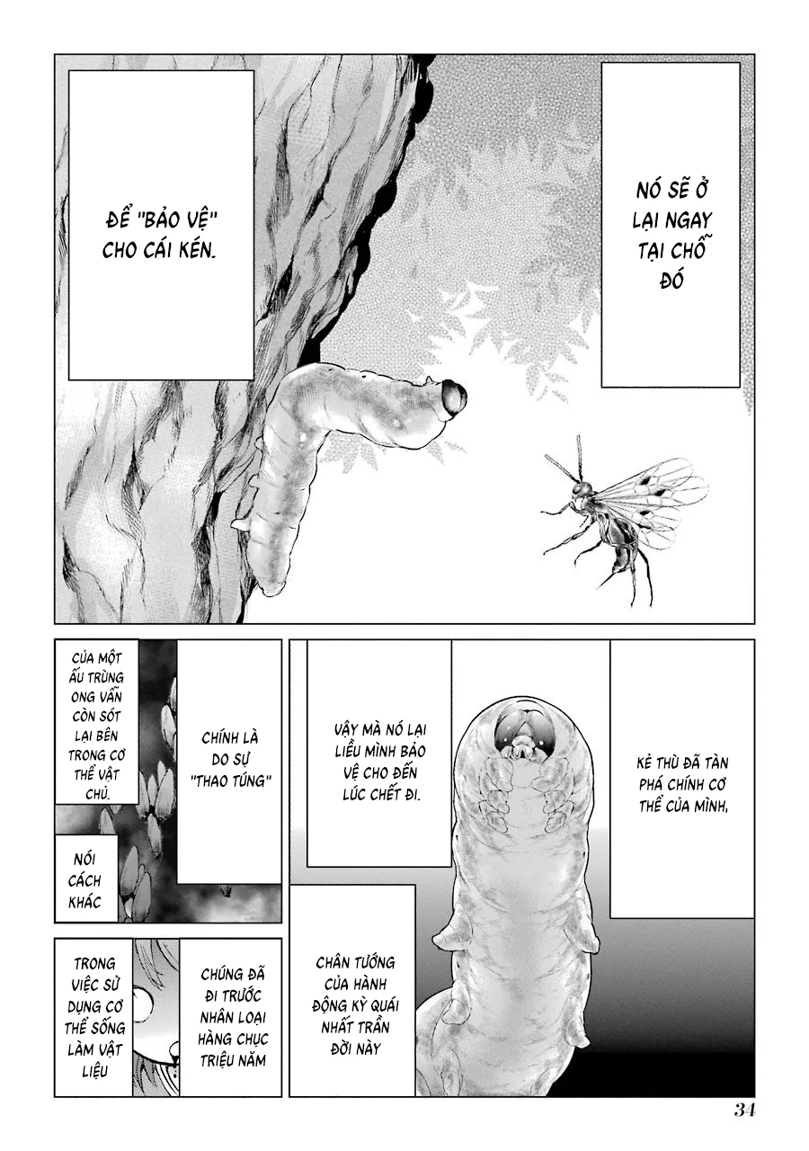 Châu Bùi no Shinobi Chapter 1 - 35