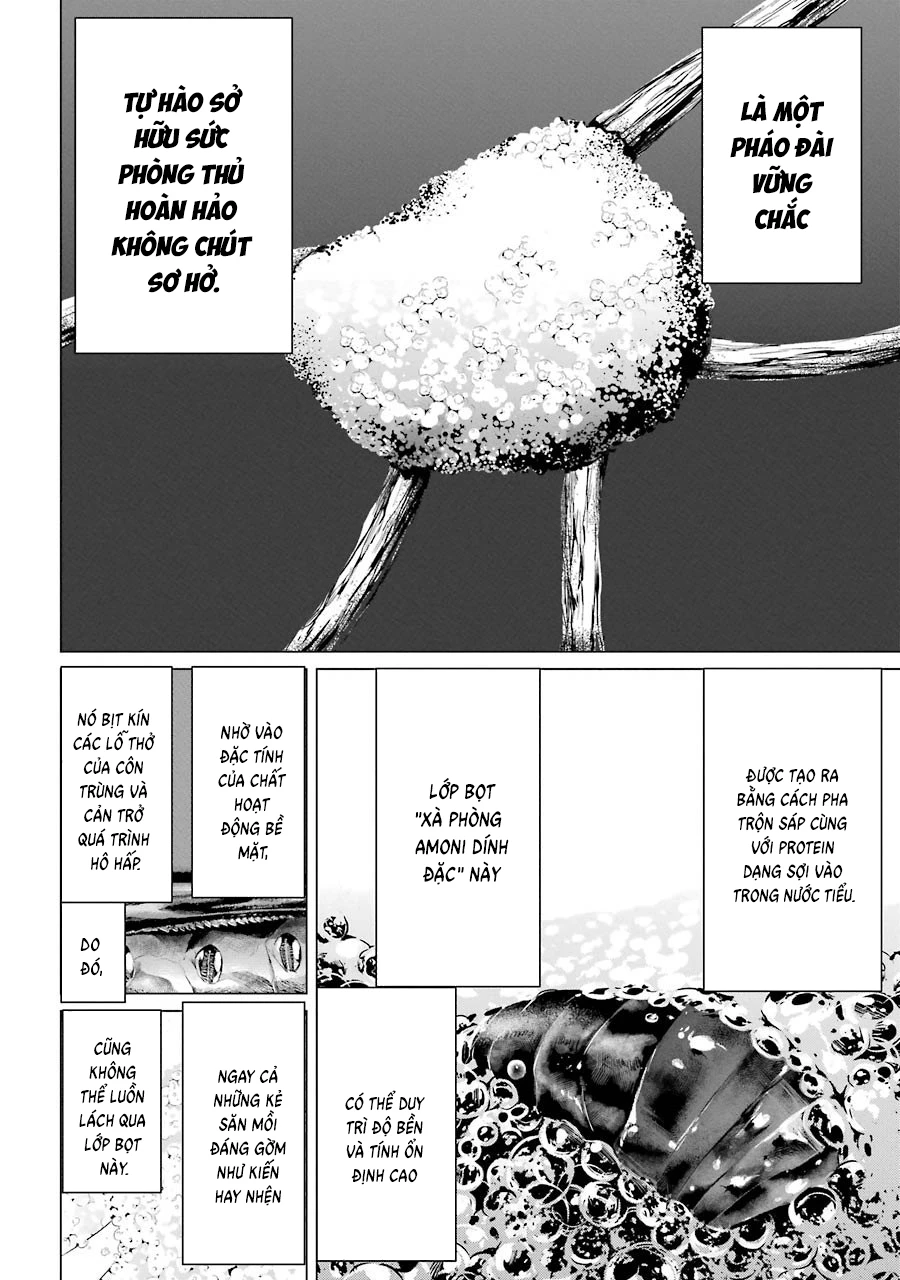 Châu Bùi no Shinobi Chapter 2 - 22