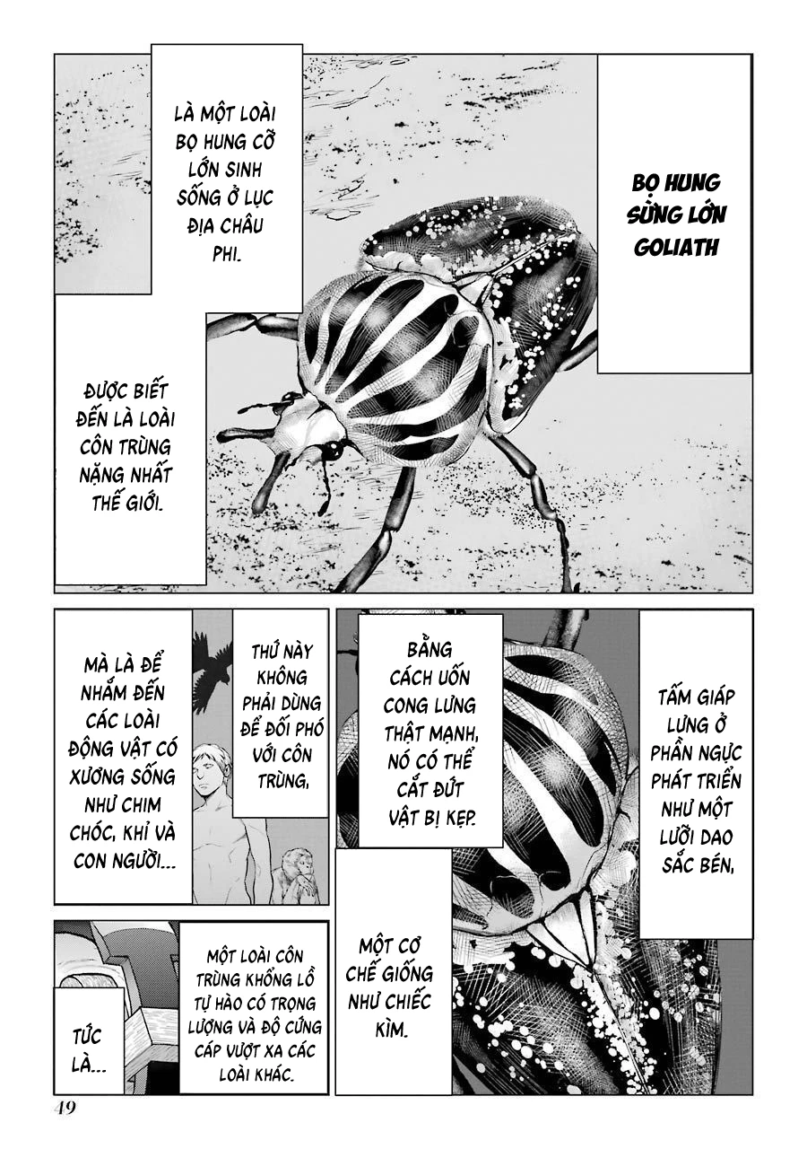 Châu Bùi no Shinobi Chapter 6 - 13