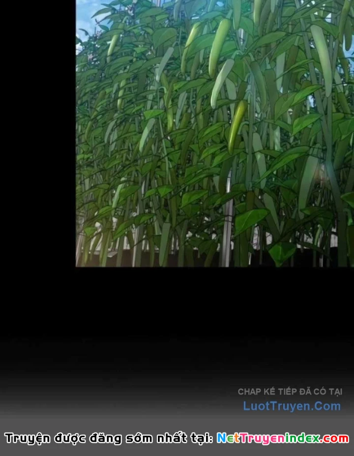 Kẻ Out Trình Ngày Tận Thế Chapter 37 - 8