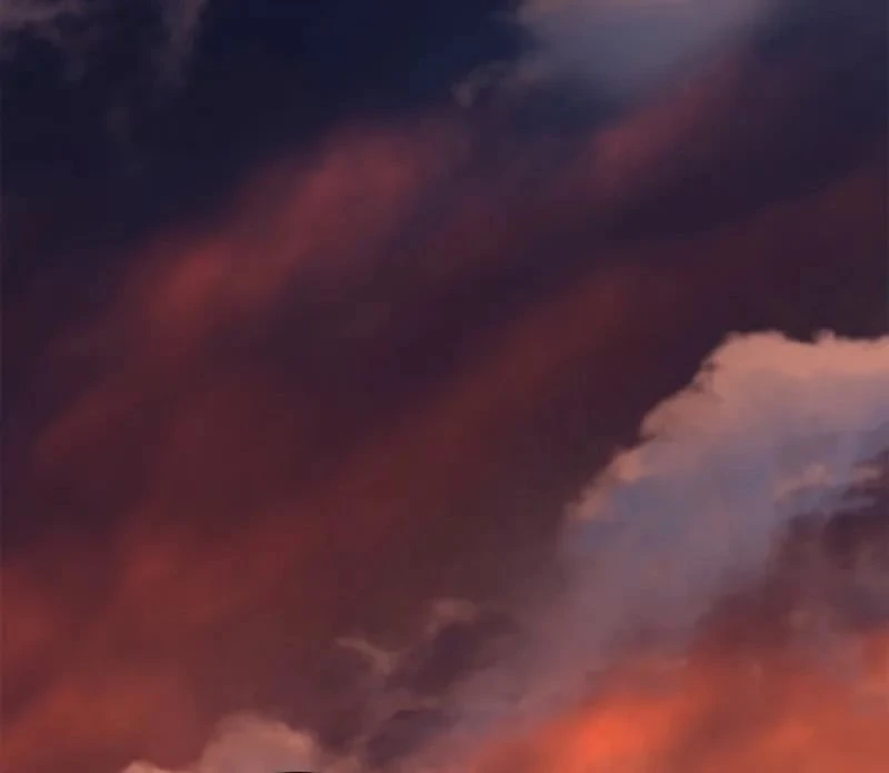 Một Mình Ta Sở Hữu Triệu Hồi Thú Cấp EX Chapter  3 - 145