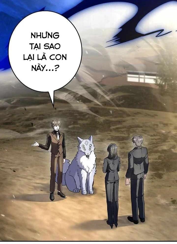 Một Mình Ta Sở Hữu Triệu Hồi Thú Cấp EX Chapter 23 - 91