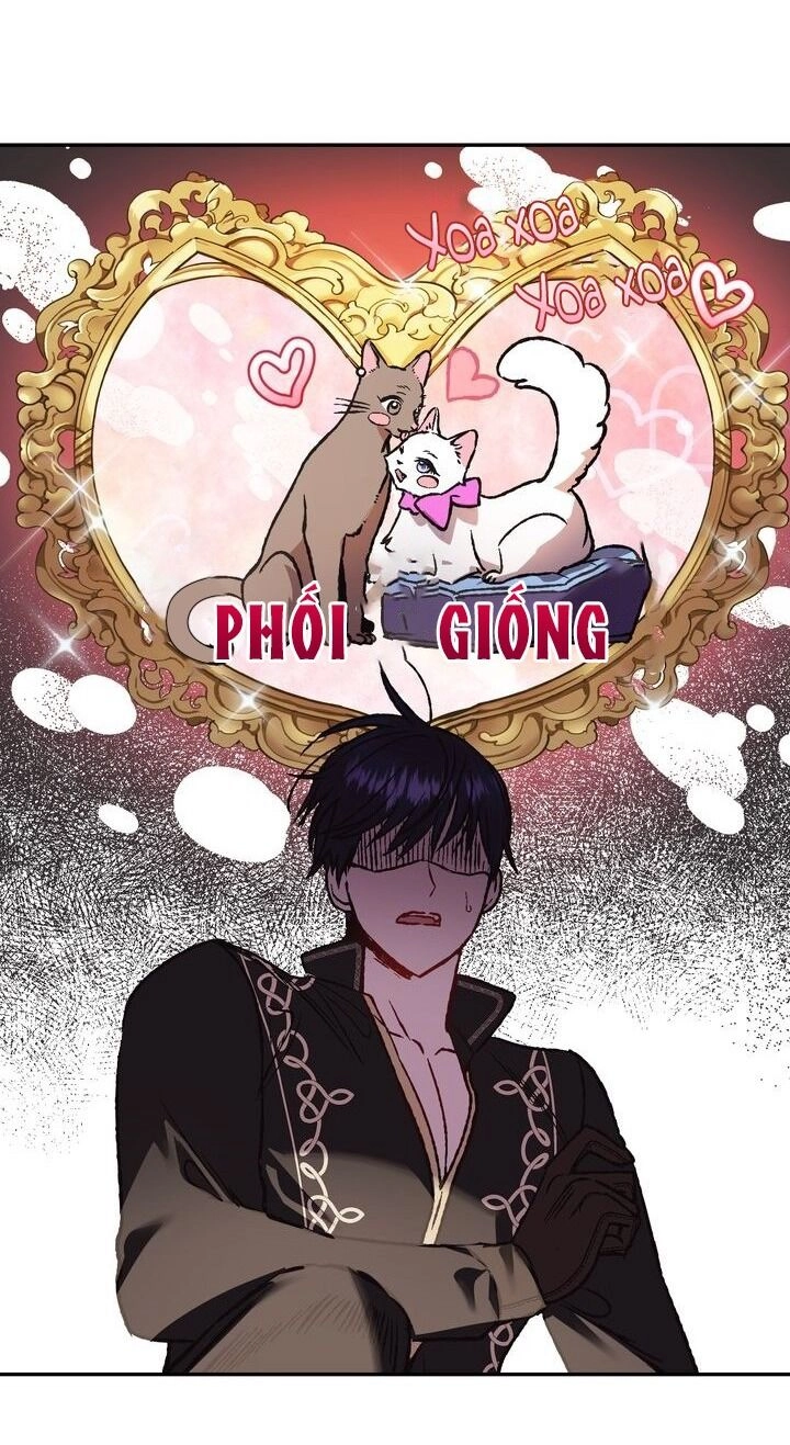 Cha Ơi Con Không Muốn Kết Hôn Đâu Chapter 13 - 48