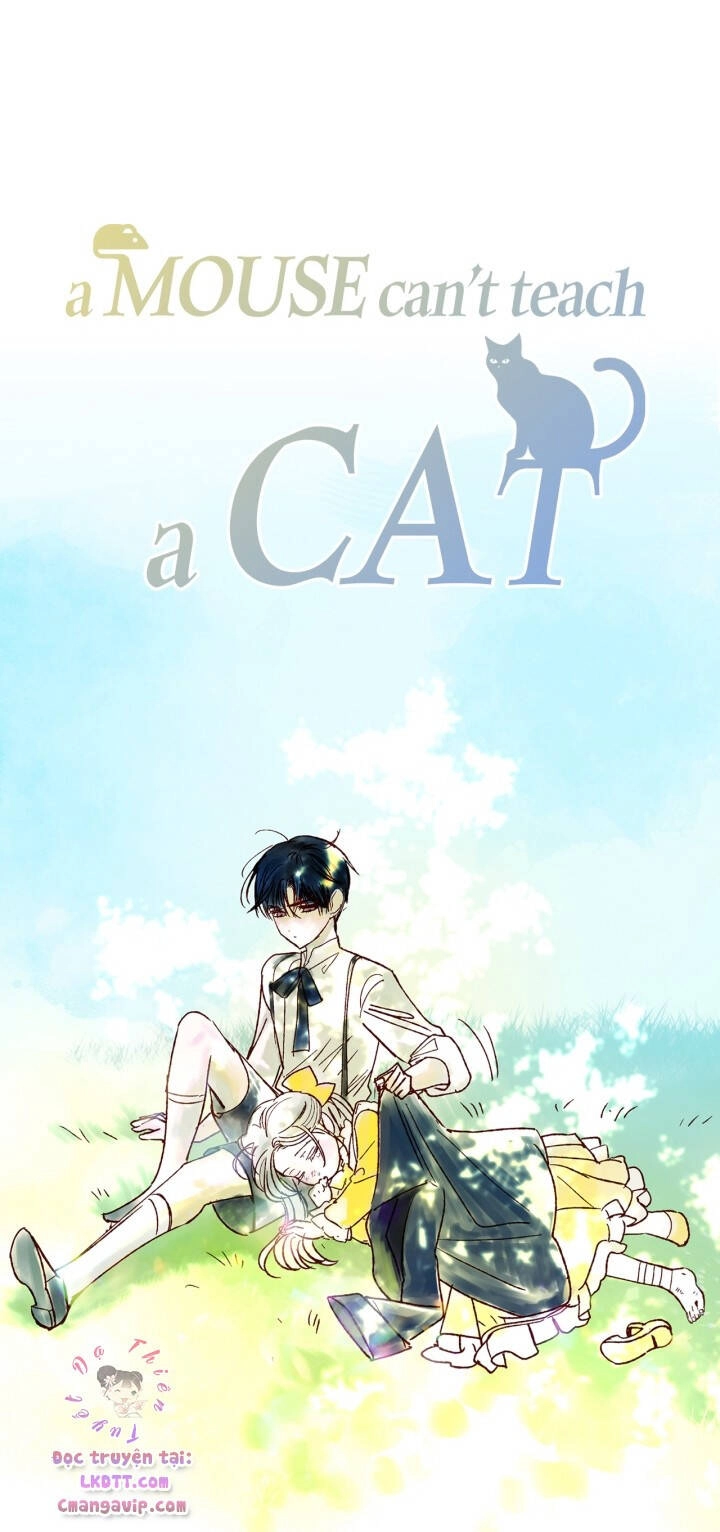 Cha Ơi Con Không Muốn Kết Hôn Đâu Chapter 39 - 109